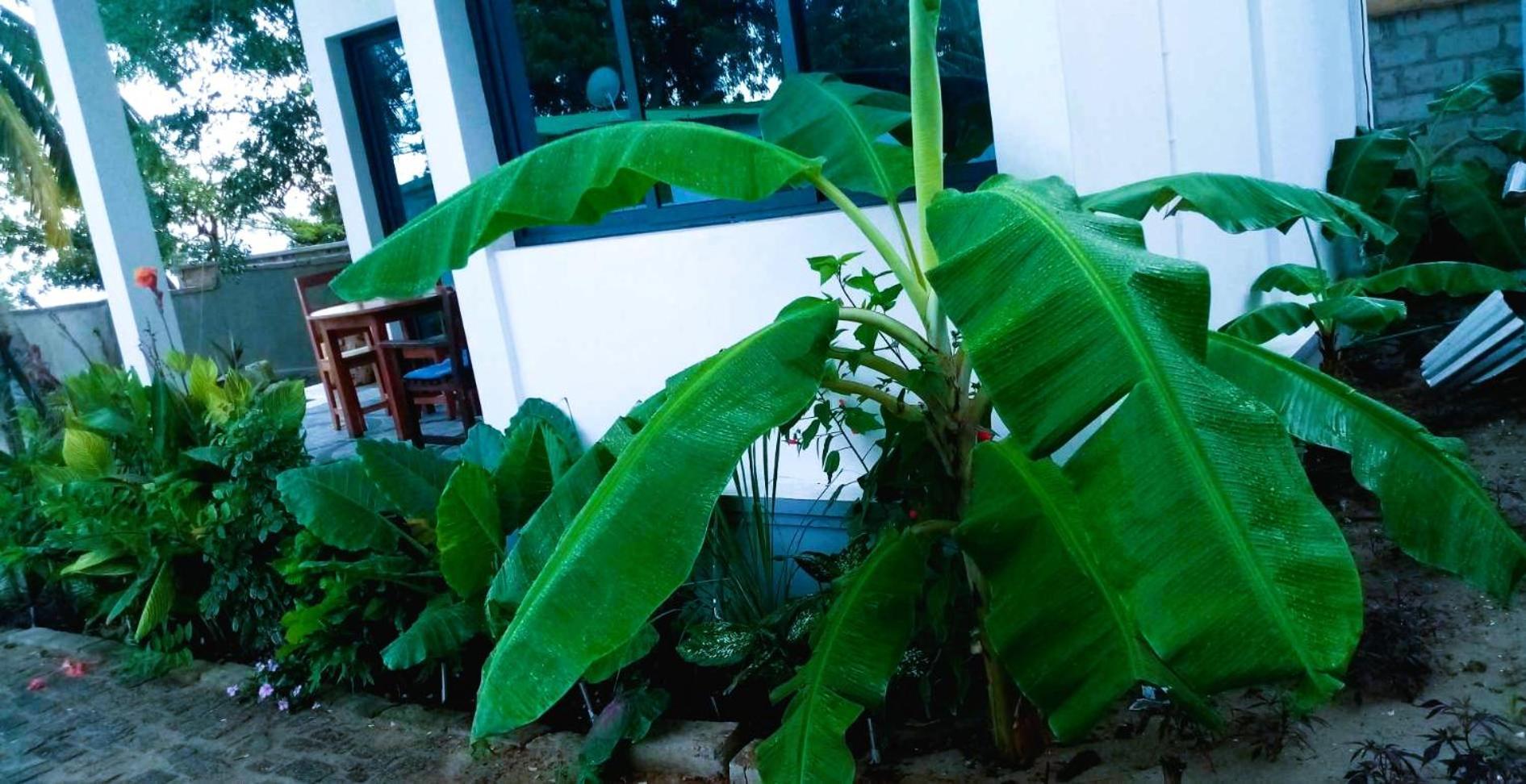 Bungalow Ramena Beach Antsiranana Andjamen Bagian luar foto