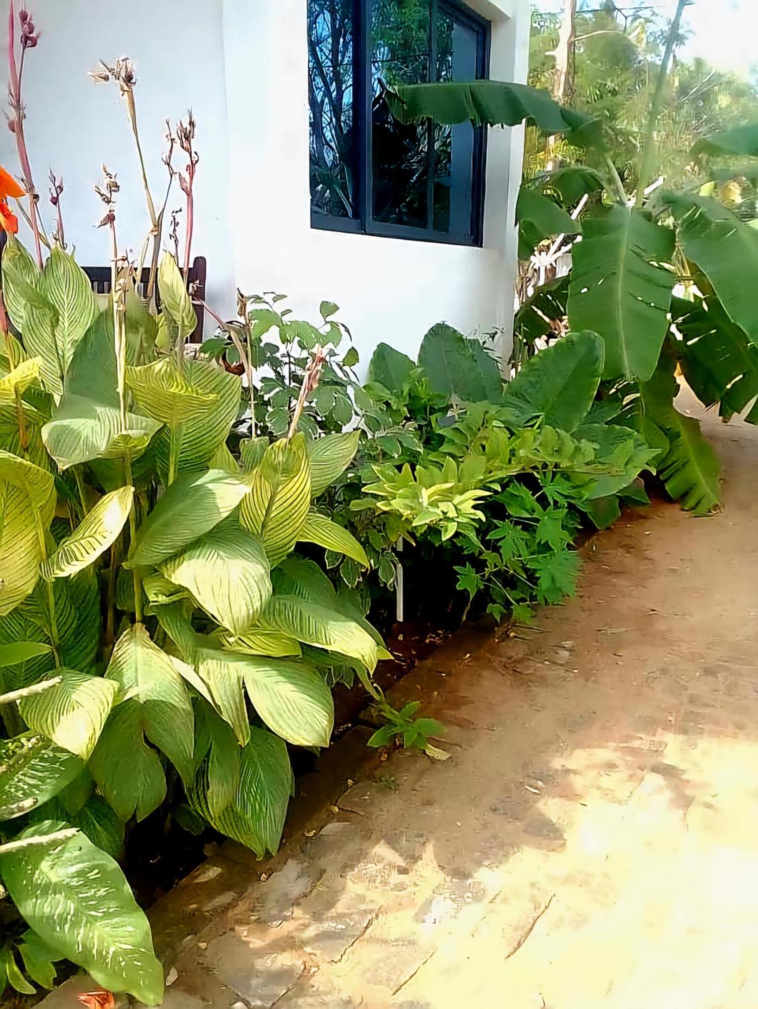 Bungalow Ramena Beach Antsiranana Andjamen Bagian luar foto